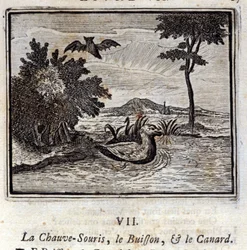 Die Fledermaus, der Busch und die Ente. Fabeln von Jean de La Fontaine. Illustration von François Chauveau. Ausgabe von 1728.