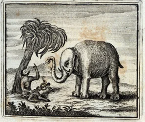 Der Elefant und der Affe des Jupiter. Fabeln von Jean de La Fontaine. Illustration von François Chauveau. Ausgabe von 1728
