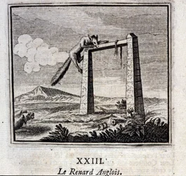 Der englische Fuchs. Fabeln von Jean de La Fontaine (1621-95). Illustration von François Chauveau (1613-1676). Ausgabe von 1728