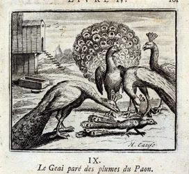 Der Eichelhäher schmückt sich mit Pfauenfedern. Fabeln von Jean de La Fontaine. Illustration von François Chauveau. Ausgabe von 1728.