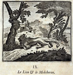 Der Löwe und der Fliegenfänger. Fabeln von Jean de La Fontaine. Illustration von François Chauveau. Ausgabe von 1728.