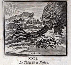 Die Eiche und das Schilfrohr. Fabeln von Jean de La Fontaine. Illustration von François Chauveau. Ausgabe von 1728.