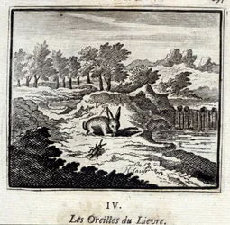 Die Ohren des Hasen. Fabeln von Jean de La Fontaine. Illustration von François Chauveau. Ausgabe von 1728.