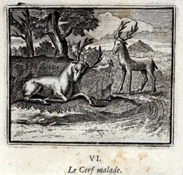 Der kranke Hirsch. Fabeln von Jean de La Fontaine. Illustration von François Chauveau. Ausgabe von 1728.