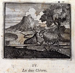 Die zwei Ziegen. Fabeln von Jean de La Fontaine. Illustration von François Chauveau. Ausgabe von 1728.