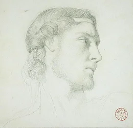 Kopfstudie