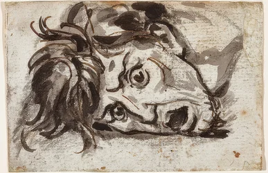 Kopf eines Mannes mit geöffnetem Mund und weit aufgerissenen Augen