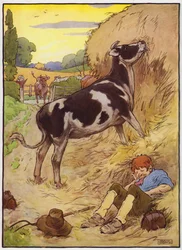 Illustration für Old Dame Trot und ihr Schwein