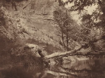 Flussufer, ca. 1855 (Foto)