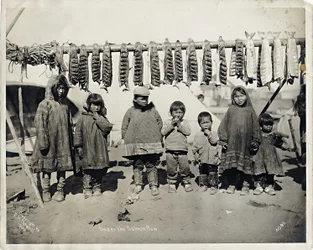 Unter der Lachsschwelle