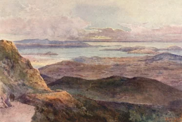 Neuseeland: Coromandel (Farblithographie)