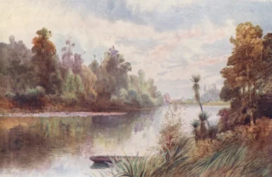 Neuseeland: Am Pelorus River