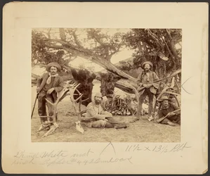 Lispenard Stewart Party, #6 - 5th Ave., N.Y. mit Trophäen am alten Zedernbaum, Mammoth Hot Springs, Yellowstone Nationalpark