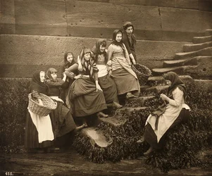 Frauen warten auf den Fang des Tages, Whitby Harbour, North Yorkshire, ca. 1899