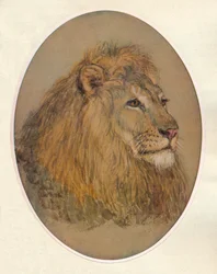 Lions Head, ca. 1896