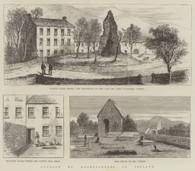 Empörung durch Mondscheinler in Irland