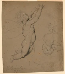 Studien von Putti