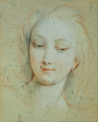Der Kopf der Venus