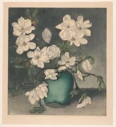 Magnolienzweige