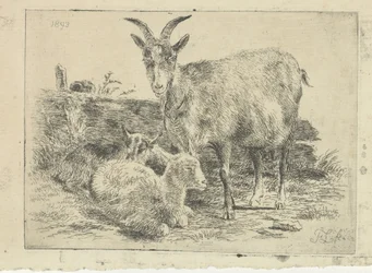 Ziege mit Jungen