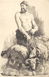 Der Hirte mit den Widdern