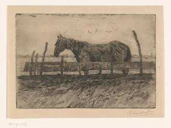 Pferd