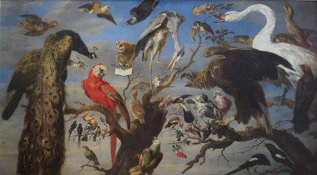 Konzert der Vögel
