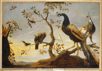 Vögel auf Zweigen
