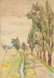 Landstraße mit Bäumen