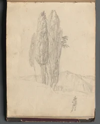 Album mit Ansichten von Rom und Umgebung, Landschaftsstudien, Seite 20a: Bäume