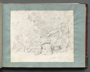 Album mit Ansichten von Rom und Umgebung, Landschaftsstudien, Seite 24a: In der Villa Walkonsky