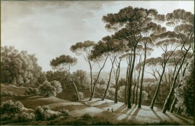Die Pinien der Villa Doria Pamphili