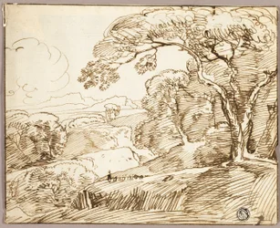 Panorama-Landschaft
