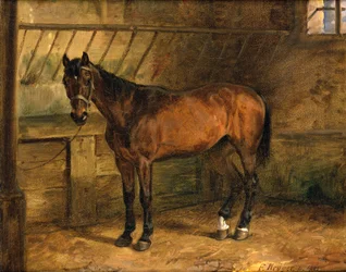 Pferd im Stall