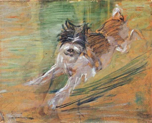 Springender Hund