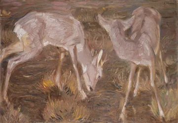 Rehe in der Dämmerung