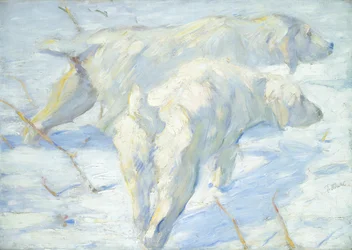 Sibirische Hunde im Schnee