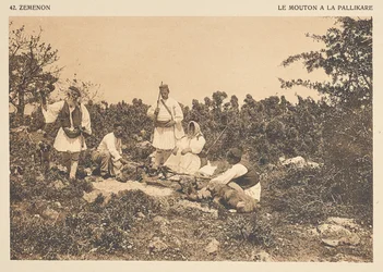 Zéménon. Das Schaf à la Pallikare
