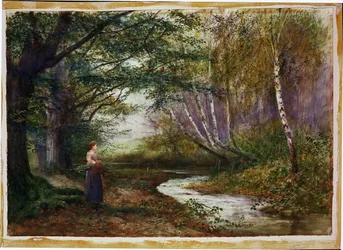 Burnham Beeches, Herbst