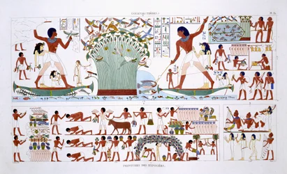 Zubereitung von Speisen für die Toten, aus einem seltenen Bericht über Fresken aus Theben, aufgezeichnet 1819-1822 bei seinem zweiten Besuch in Ägypten von Frederic Cailliaud
