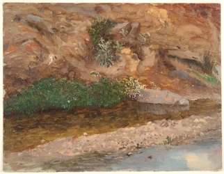 Ufer eines Baches