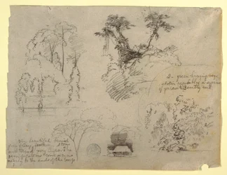 Botanische Studien und ein Haus, wahrscheinlich aus Kolumbien