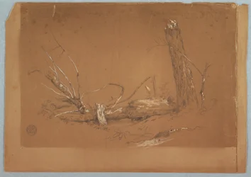 Zeichnung, Ein gebrochener toter Baum, 1855–65