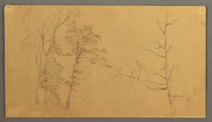Zeichnung, Eine Gruppe von Bäumen mit dem oberen Teil eines toten Baumes, 1866