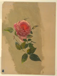 Zeichnung, Ein Rosenast, 1860–70