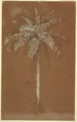Abaye-Palme, Mt. Salus, Jamaika