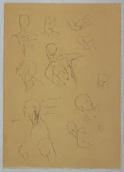Anatomische Studien, 1865–1870