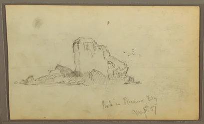 Vögel, "Felsen in der Panama-Bucht"; Rückseite: "Schwere Reben", 15. Mai 1857