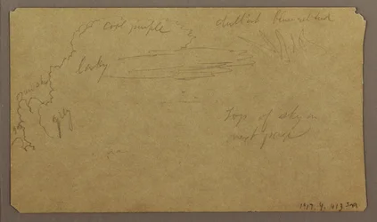 Zeichnung, Botanische Skizzen; Rückseite: Wolken, Juli 1865