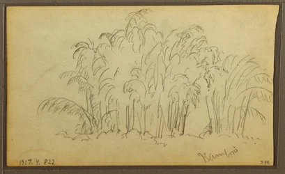 Zeichnung, Kühe in Landschaft; Rückseite: Bambus, 1857